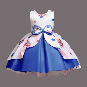 Blue & Floral Princess Dress